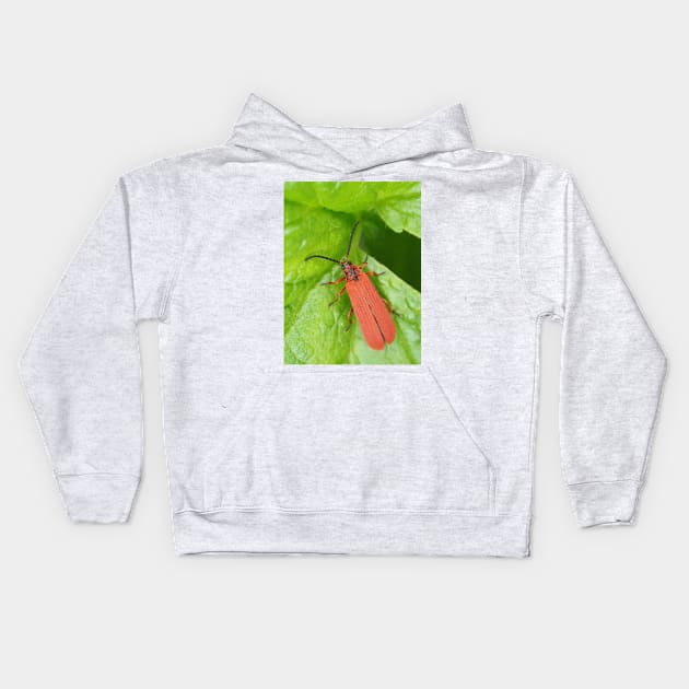 Red net-winged beetle - Dictyoptera simplicipes Kids Hoodie by SDym Photography